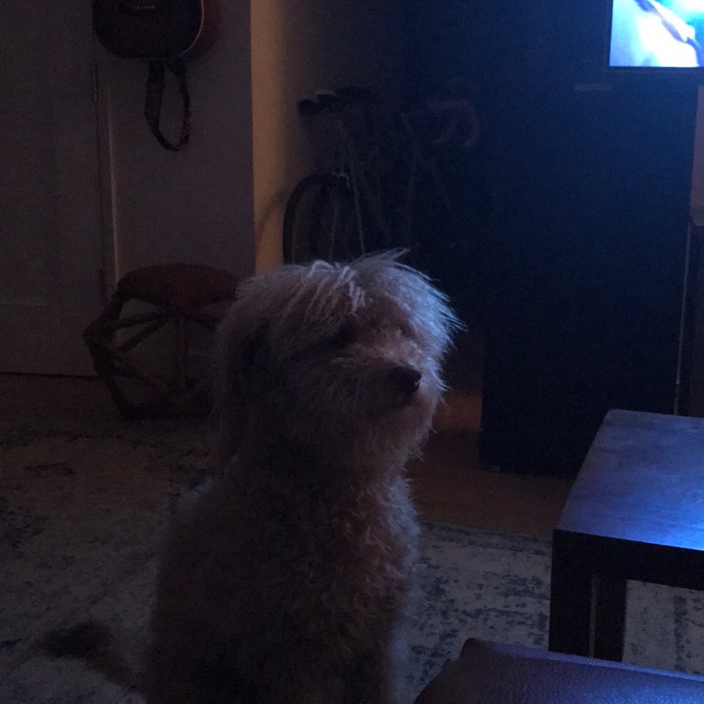 Meet your Posher, Meg